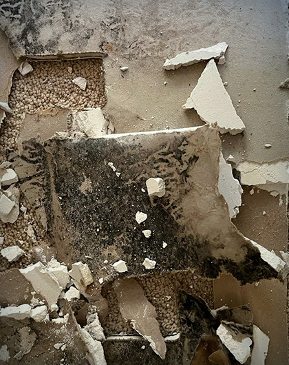 Why Black Mold Becomes a Bigger Risk in U.S. Homes During Cold Weather