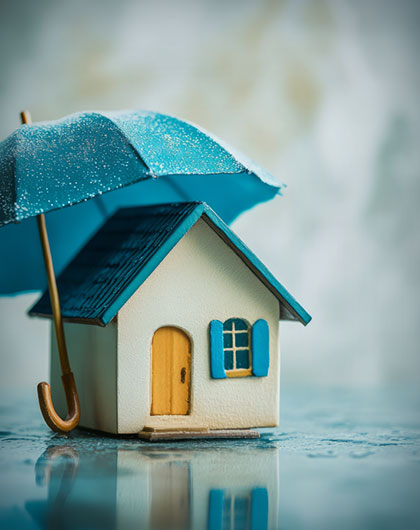 Does Homeowners Insurance Cover Mold?