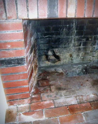 Fireplace Mold: A Sneaky Foe in Your Cozy Corner