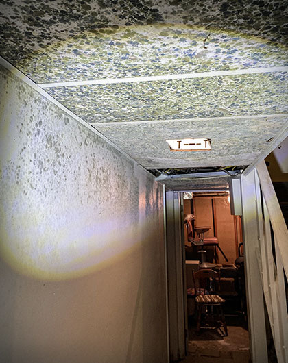 Mold on Popcorn Ceiling