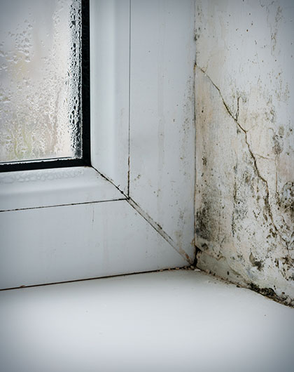 How to Deal With Winter Window Mold