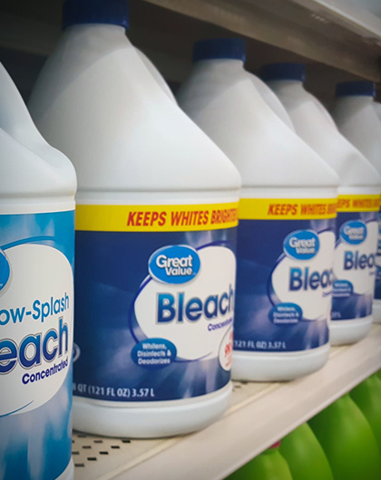 Does Bleach Actually Kill Mold?