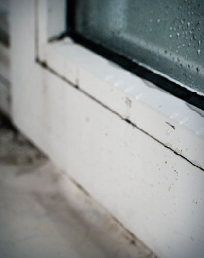 Climate-Specific Mold Prevention Strategies