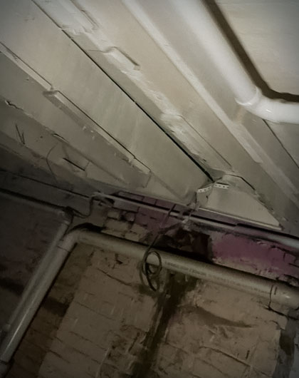 Mold in Crawl Space: How to Prevent and Remove It