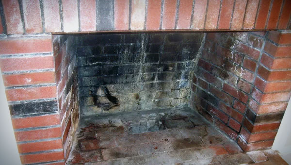 Fireplace Mold: A Sneaky Foe in Your Cozy Corner