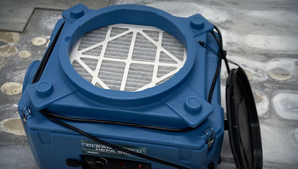 Understanding the Role of HEPA Filters in Mold Removal