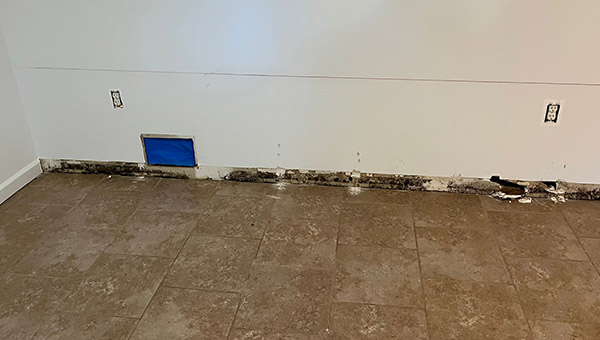 Mold Treatment in New Jersey