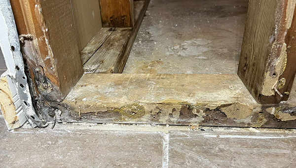 Mold Treatment in New Jersey