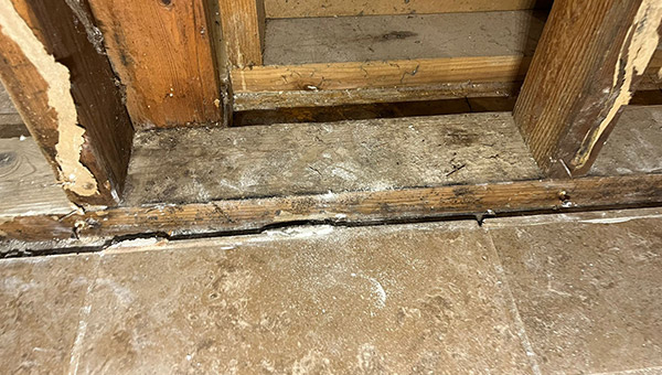 Mold Treatment in New Jersey