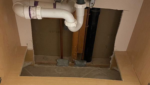 Mold Treatment in New Jersey