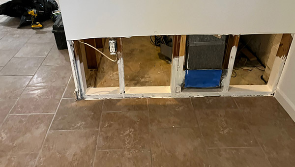 Mold Treatment in New Jersey