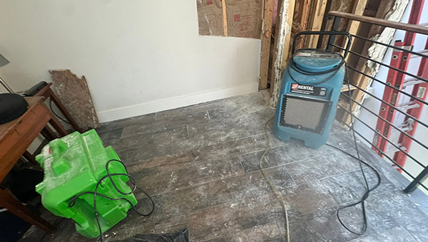 Mold Treatment in Miami, FL