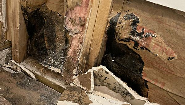 Mold Treatment in Miami, FL