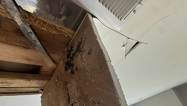 Mold Treatment in Miami, FL