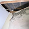 Water Damage Restoration in Washington, DC