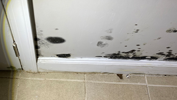 Water Damage Restoration in New Jersey